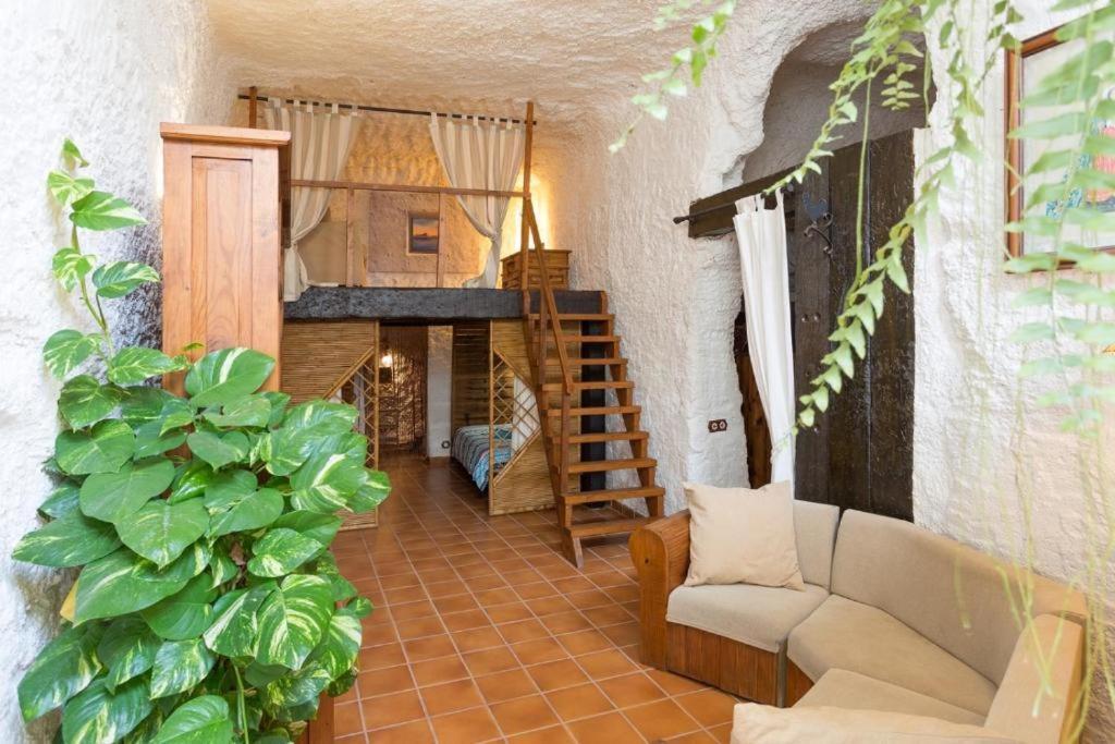 Live Socorro Cave Villa Güimar Esterno foto